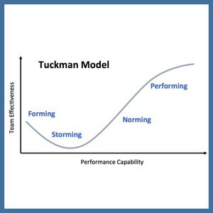 Tuckman model form-storm-norm-perform